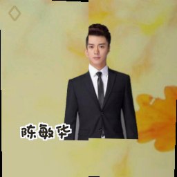 陈敏华